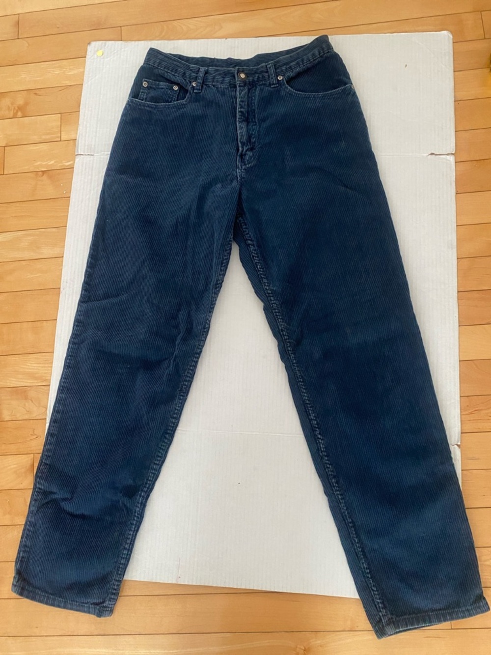 Blue Corduroy Pants by SARGENT PEPPER  women’s Size 29